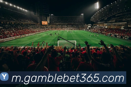 bet365中国官网服务体系